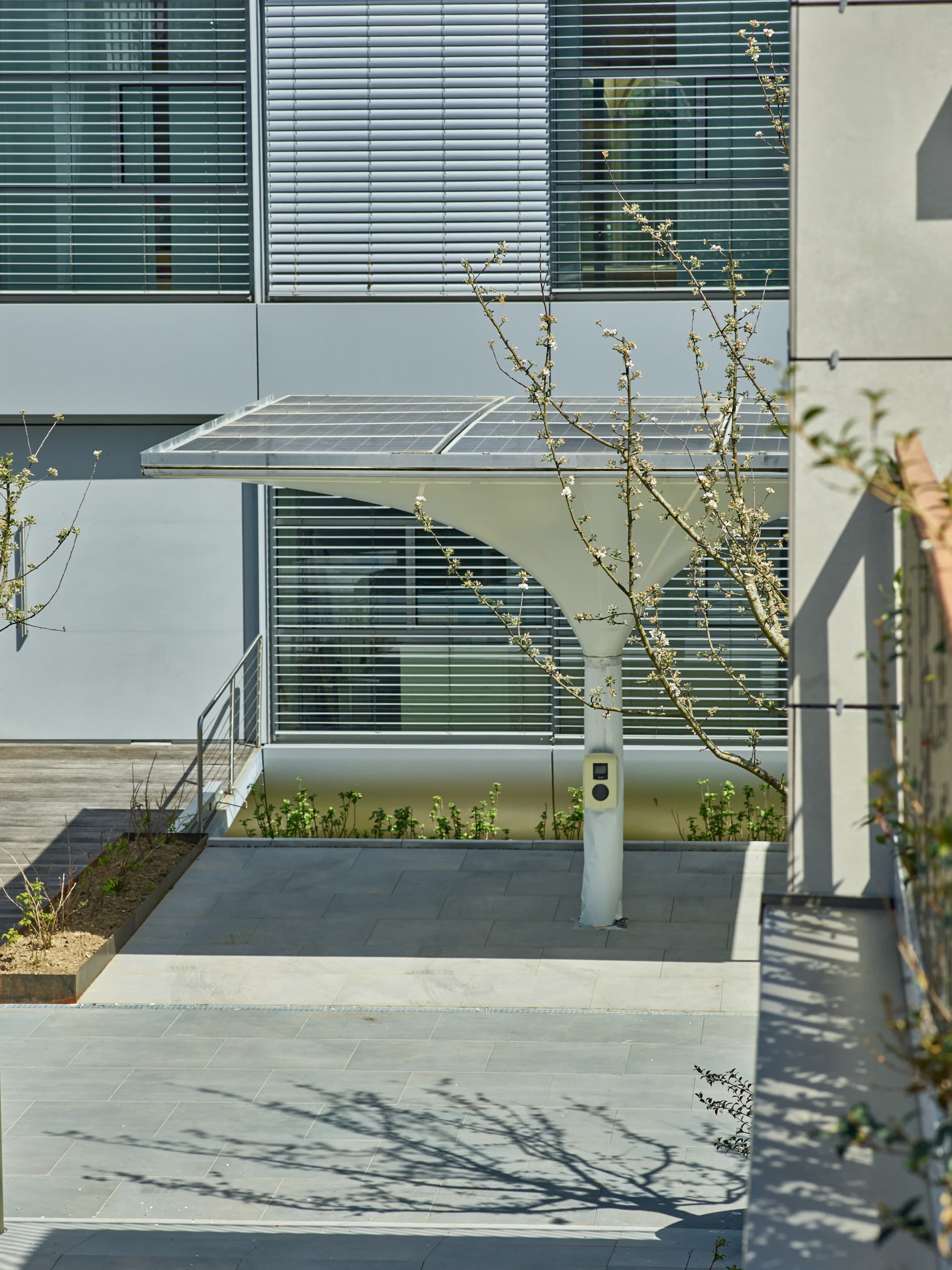 Architektur Perspektive 1