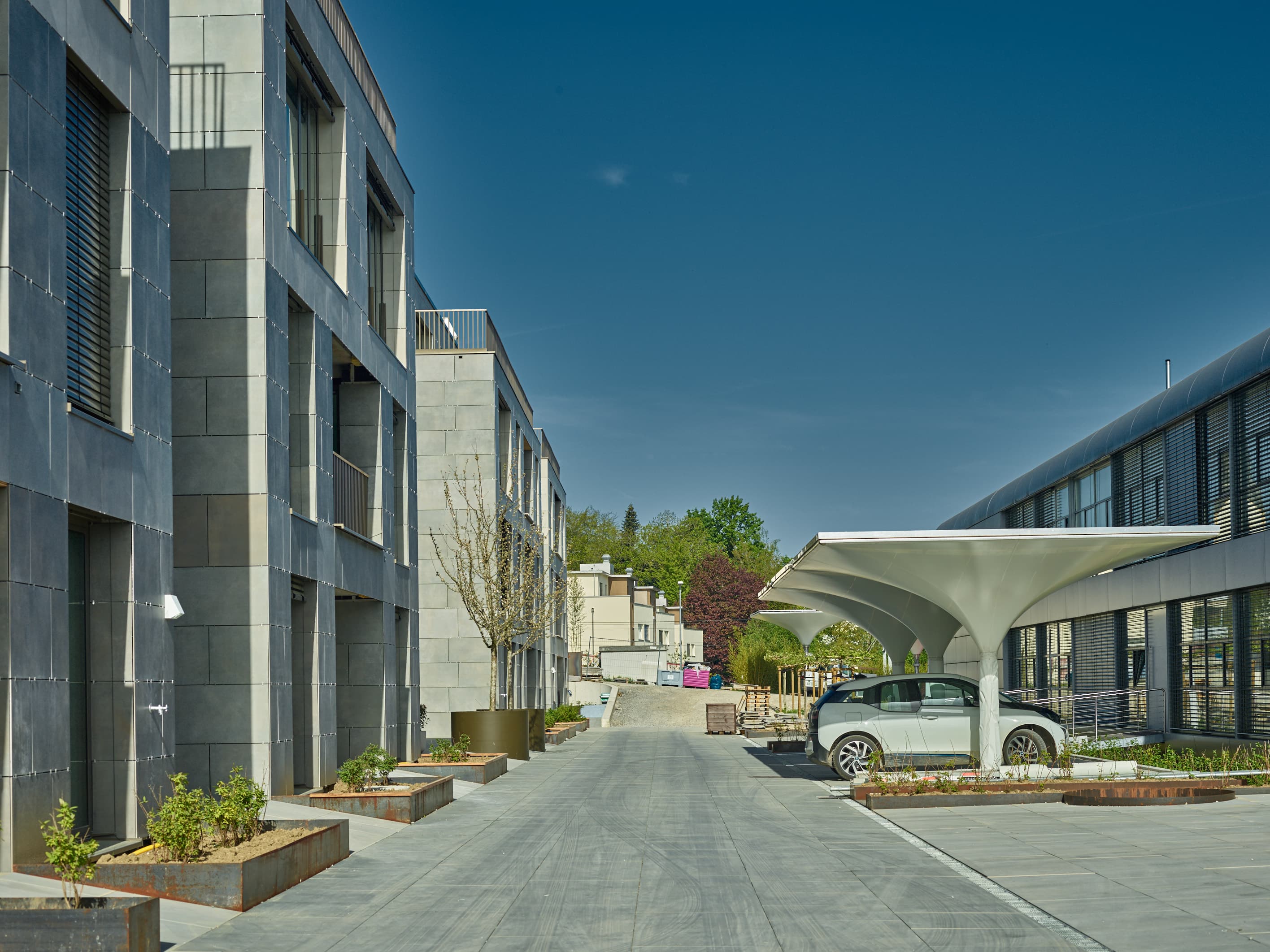 Innovation & Services